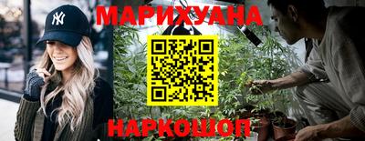 спиды Донской