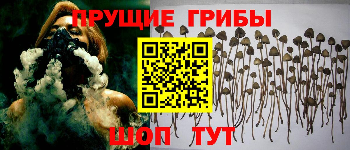 Галлюциногенные грибы прущие грибы  Вход с VPN  Лесосибирск 
