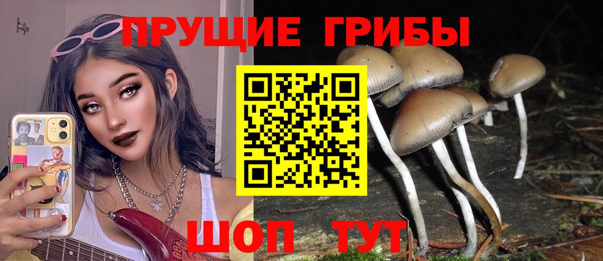 Галлюциногенные грибы прущие грибы Лесосибирск